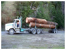 Kenworth Long Logger