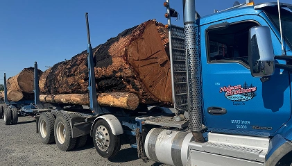 Family-Owned Strength